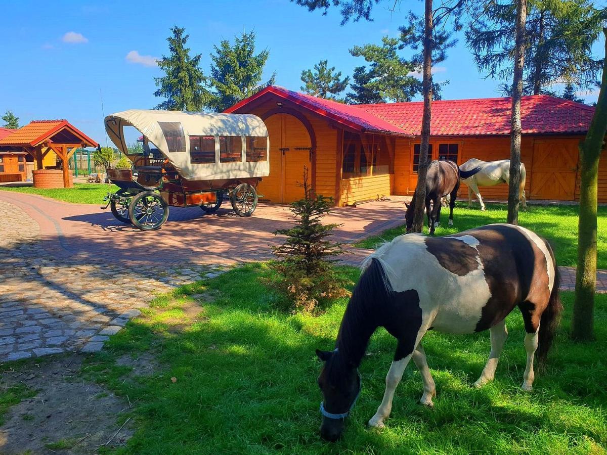 Osrodek Agroturystyczny Zacisze Villa Giewartow Ngoại thất bức ảnh
